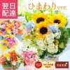 hana-gift